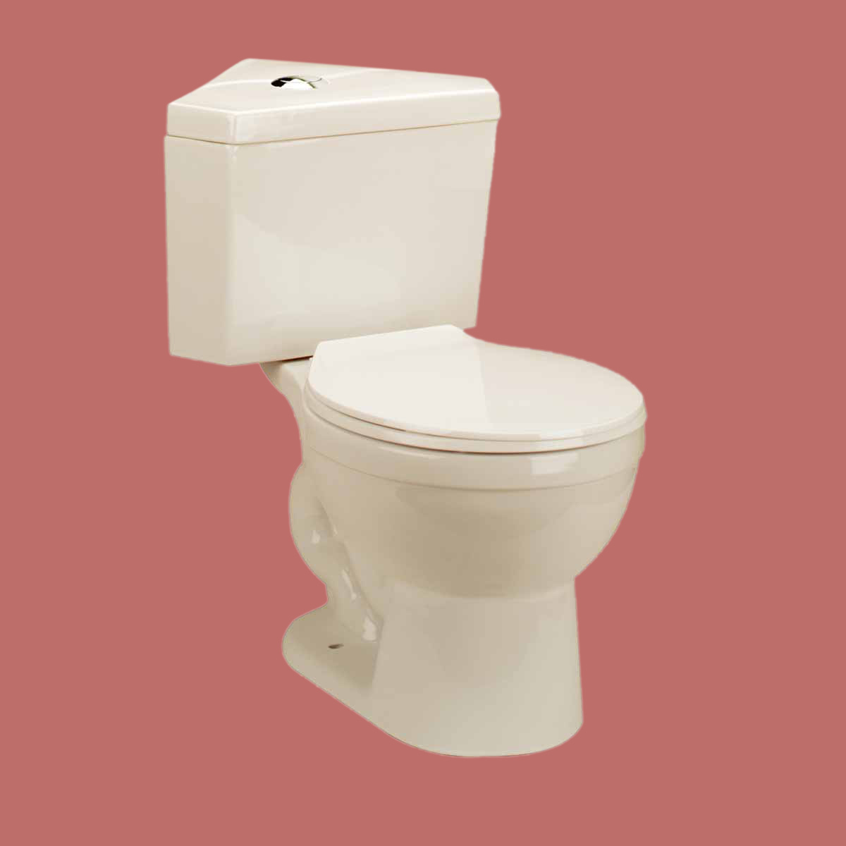 Toilet Bone Corner Dual Flush Round